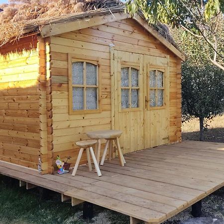 Edelweiss Guesthouse, Glamping And Camping Suhaia Zewnętrze zdjęcie